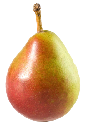 seckel-pear